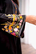 Black & Multi Embroidered Stitched 2pc