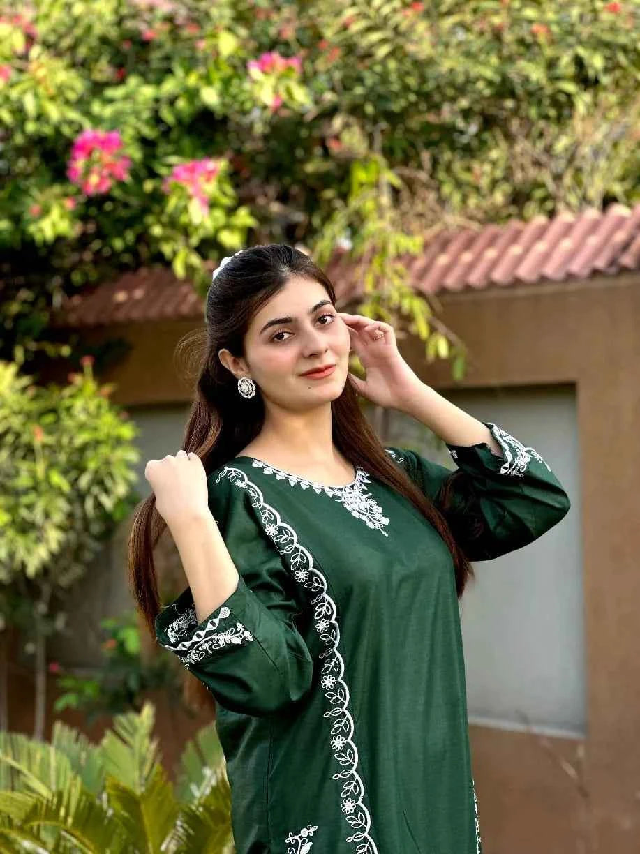 Agha Noor Mirror Wok Embroidery - Stitched 2 pc